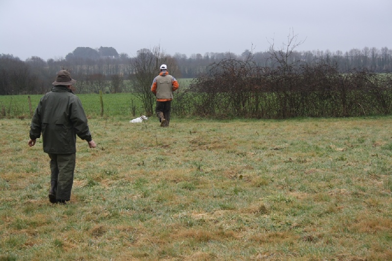Field trial 2012 St Emilien de Blain solo sur la commune de Bouvron